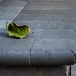 Monaco-Coping-Corner